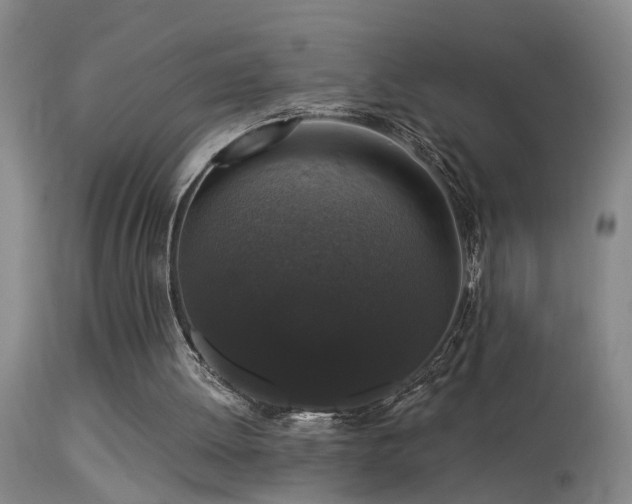X0000113270052200909171723