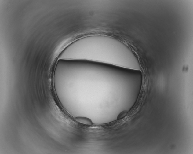 X0000113270053200909171723