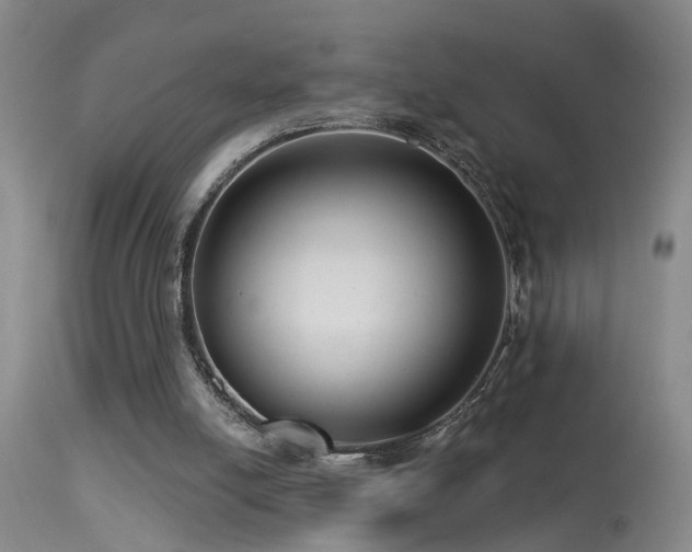 X0000113270054200909171723
