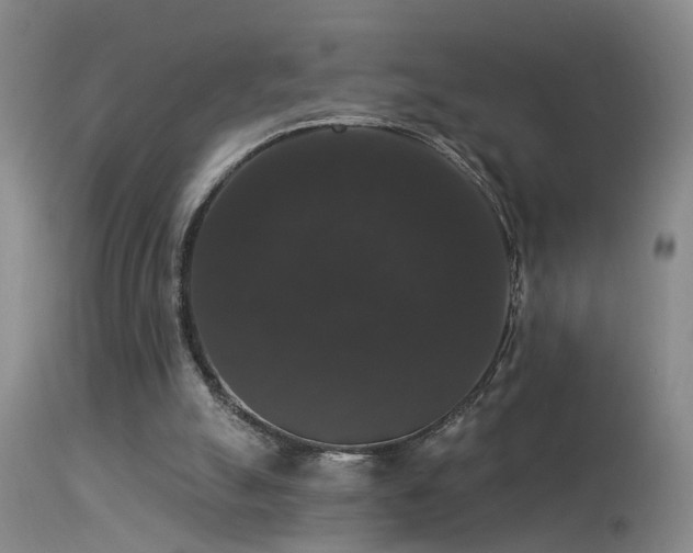 X0000113270055200909171723