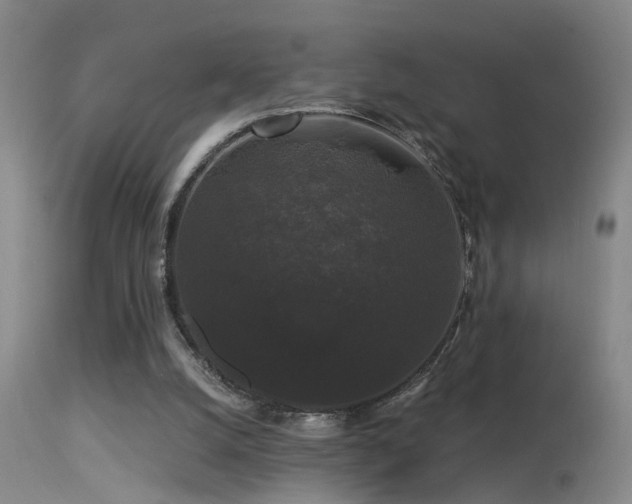 X0000113270056200909171723