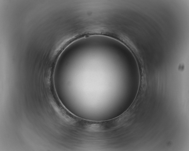 X0000113270058200909171723