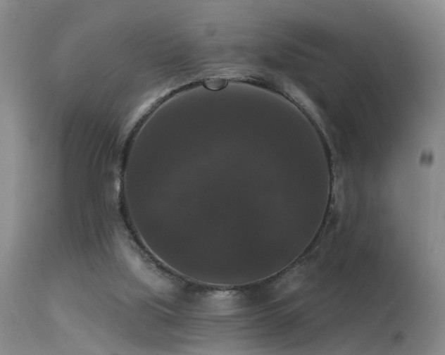 X0000113270059200909171723