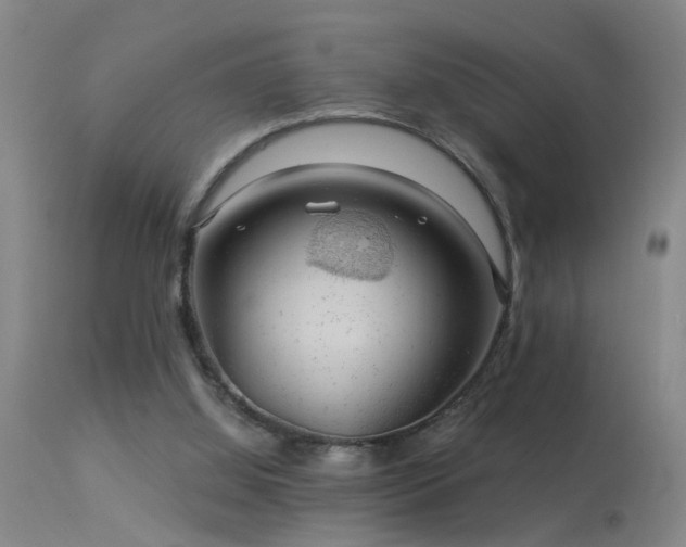 X0000113270060200909171723