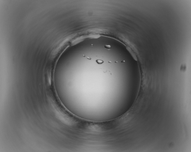 X0000113270062200909171723