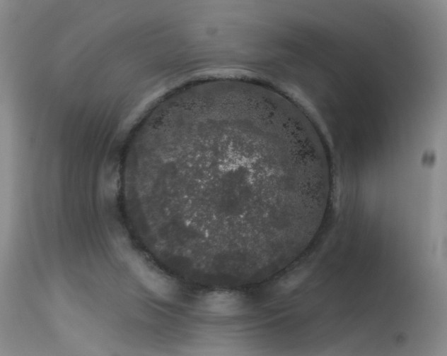 X0000113270063200909171723