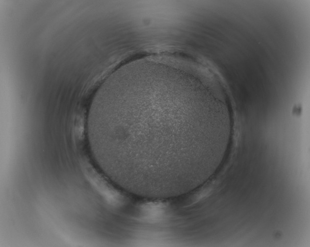 X0000113270065200909171723
