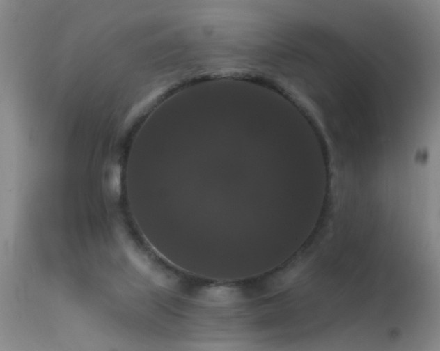 X0000113270067200909171723