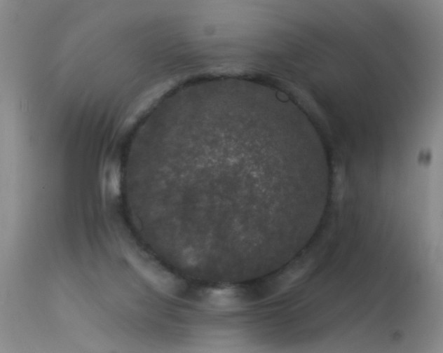 X0000113270068200909171723