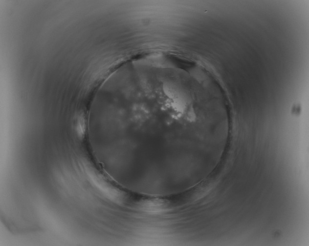 X0000113270069200909171723