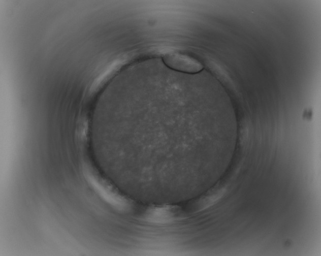 X0000113270072200909171723