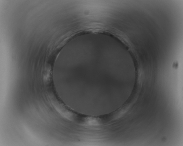 X0000113270073200909171723