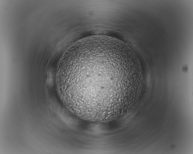 X0000113270074200909171723