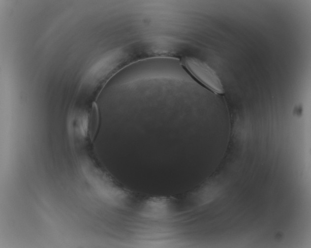 X0000113270076200909171723