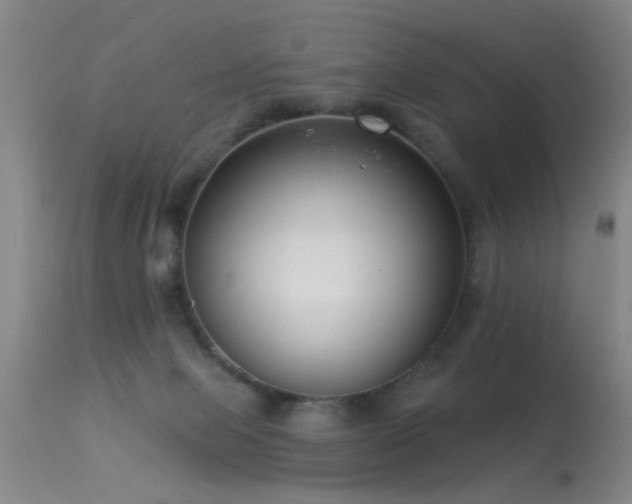X0000113270077200909171723