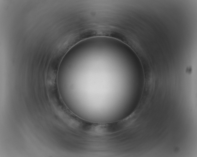 X0000113270078200909171723