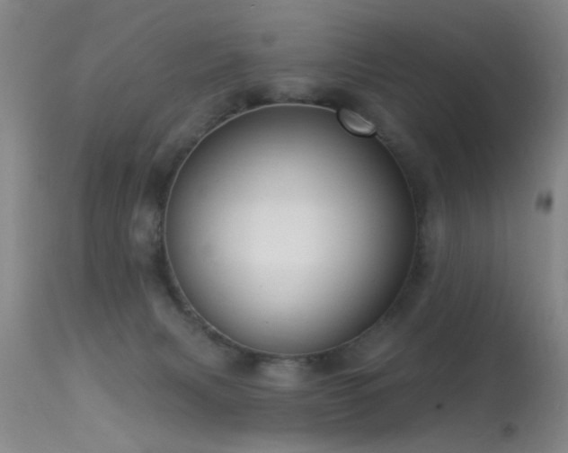 X0000113270079200909171723
