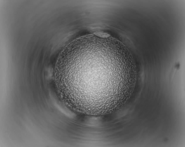 X0000113270081200909171723