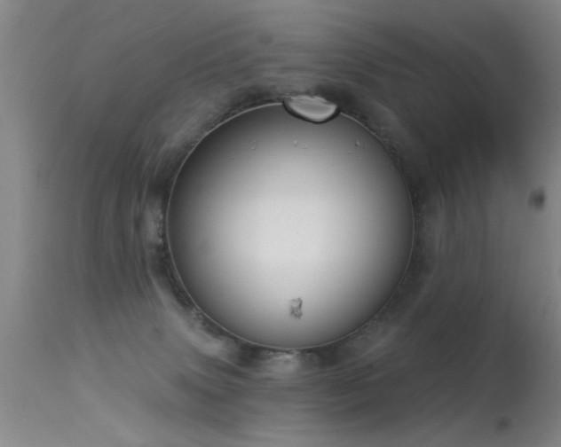 X0000113270083200909171723