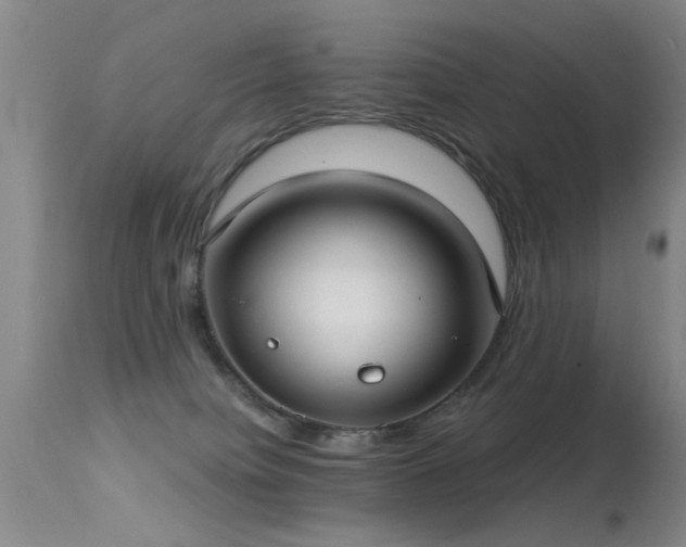 X0000113270084200909171723