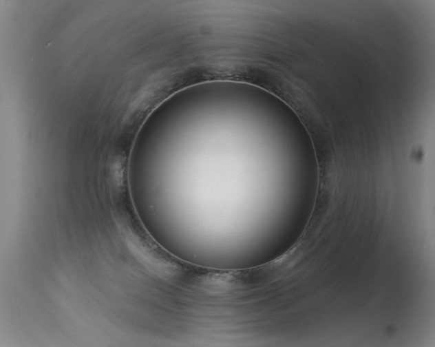 X0000113270086200909171724