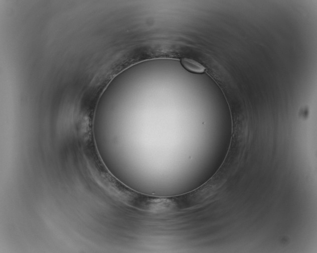 X0000113270087200909171724