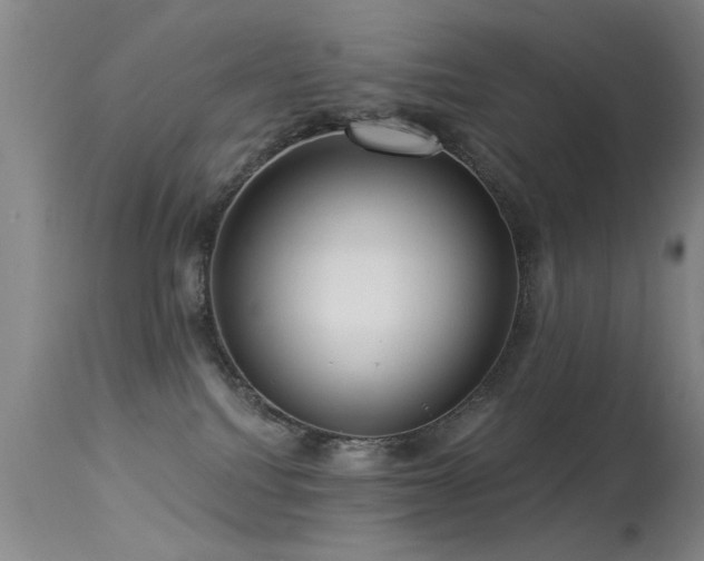 X0000113270088200909171724