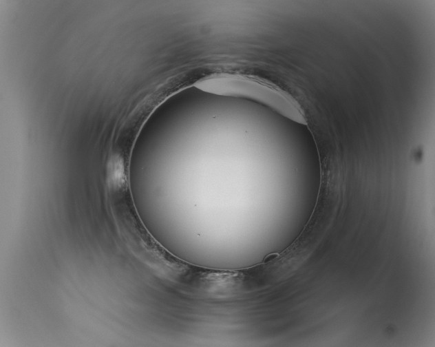 X0000113270089200909171724