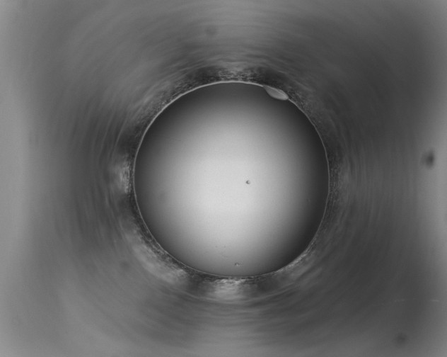 X0000113270090200909171724