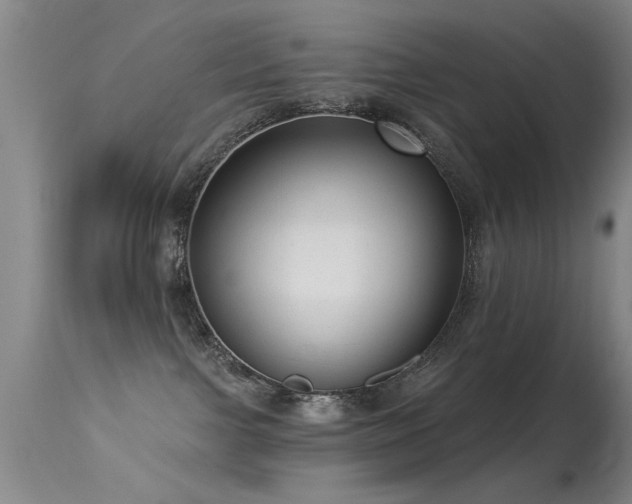 X0000113270091200909171724