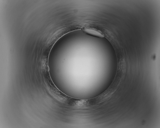 X0000113270092200909171724