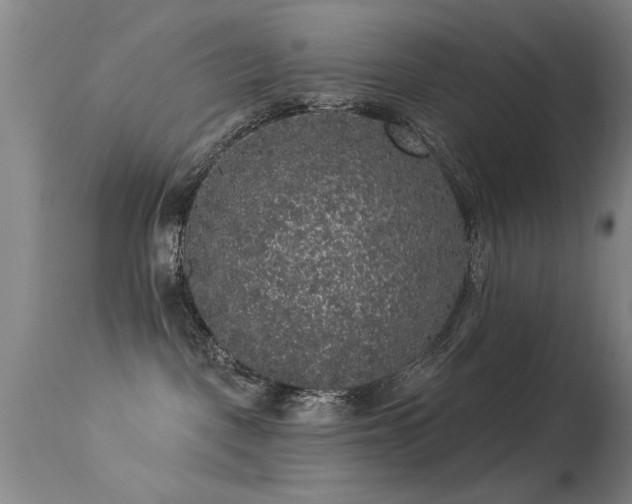 X0000113270093200909171724
