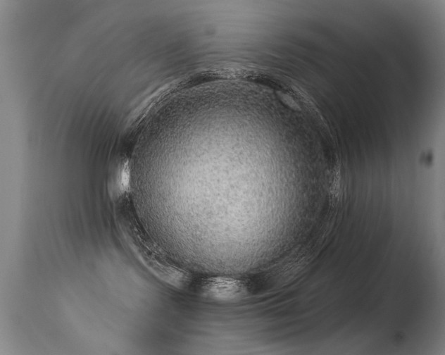 X0000113270095200909171724
