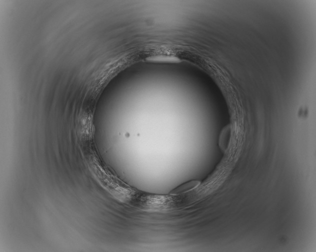 X0000113270096200909171724