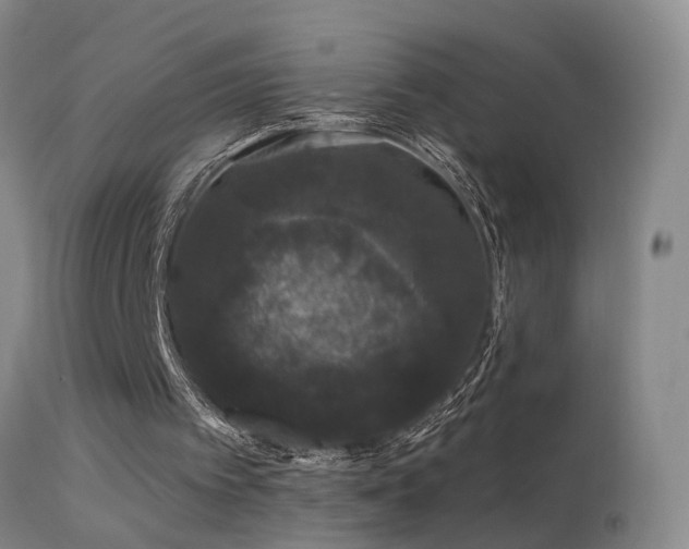 X0000113270097200909171723