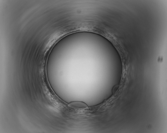 X0000113270098200909171723