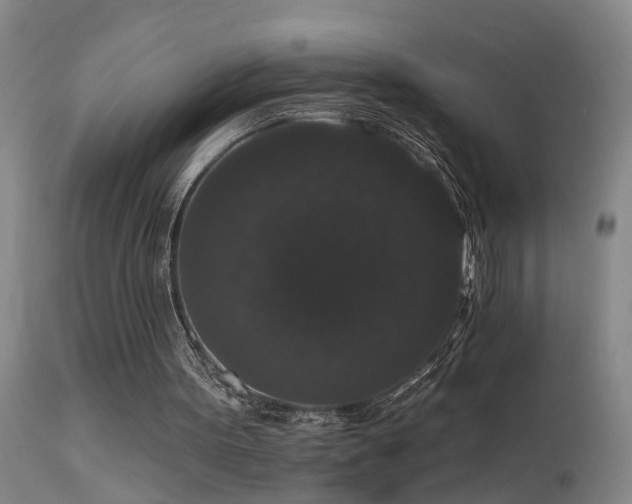 X0000113270099200909171723