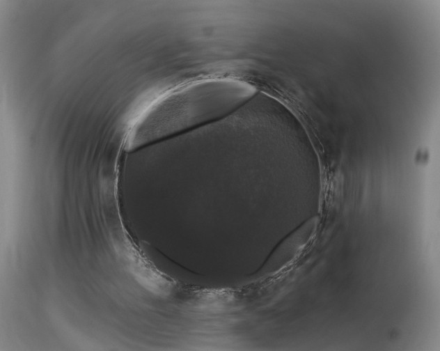 X0000113270100200909171723