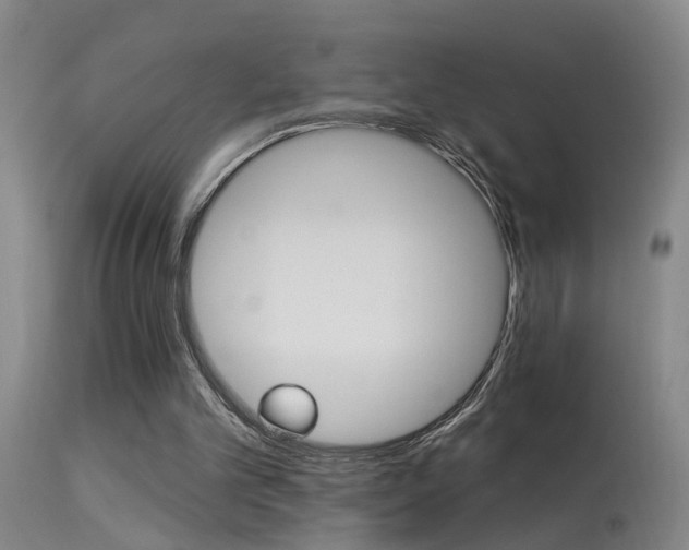 X0000113270101200909171723