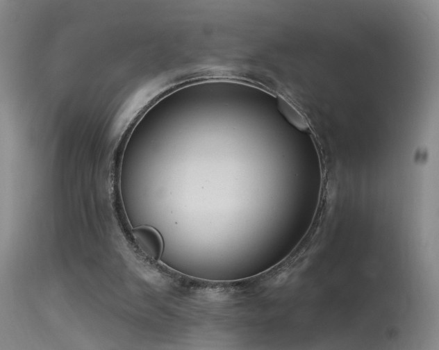 X0000113270103200909171723
