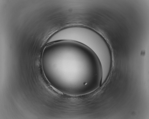X0000113270105200909171723