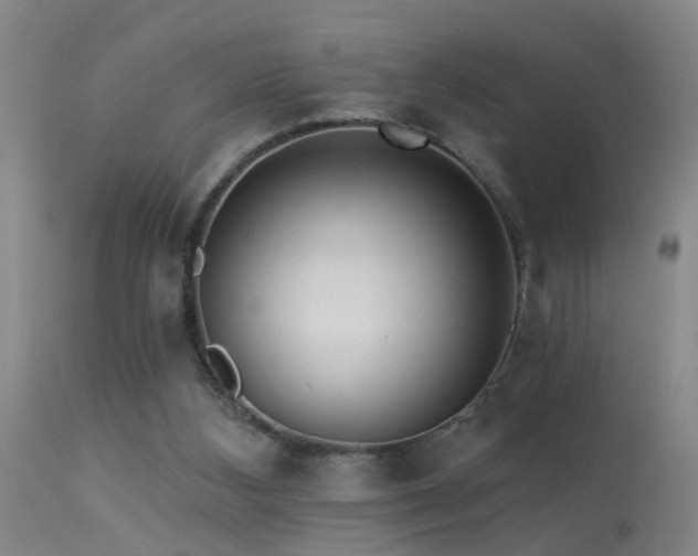 X0000113270108200909171723