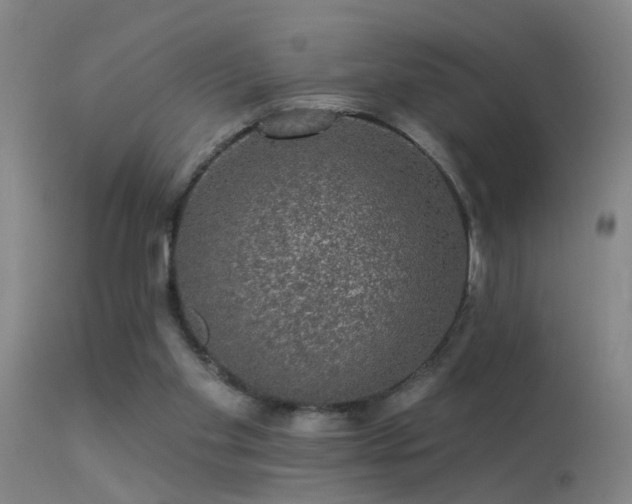 X0000113270109200909171723