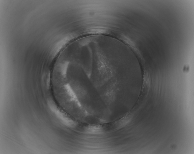 X0000113270110200909171723