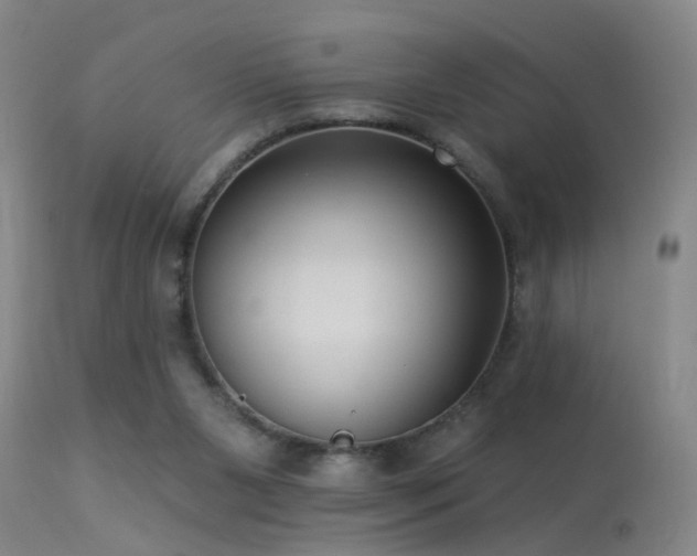 X0000113270111200909171723