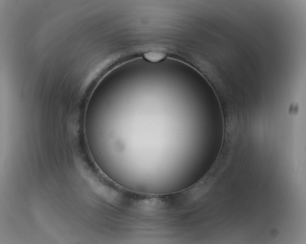 X0000113270112200909171723