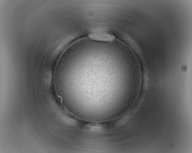 X0000113270113200909171723