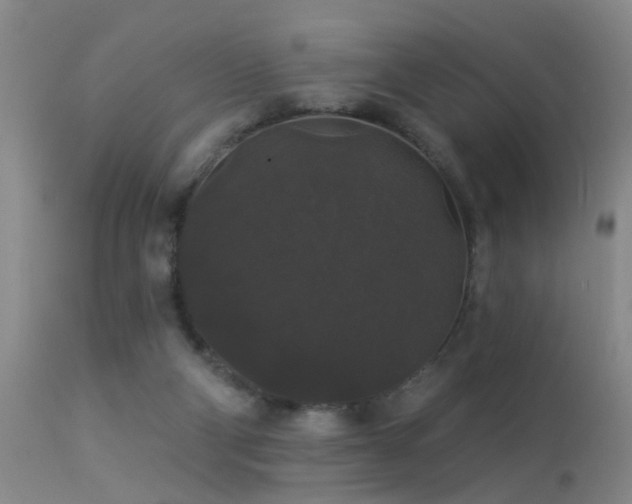 X0000113270114200909171723