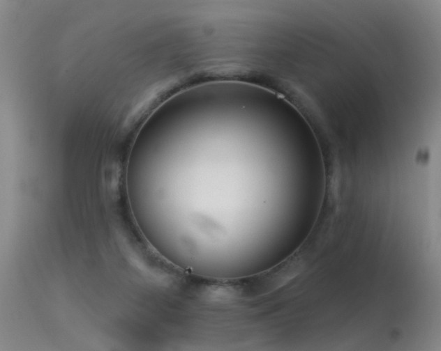 X0000113270115200909171723