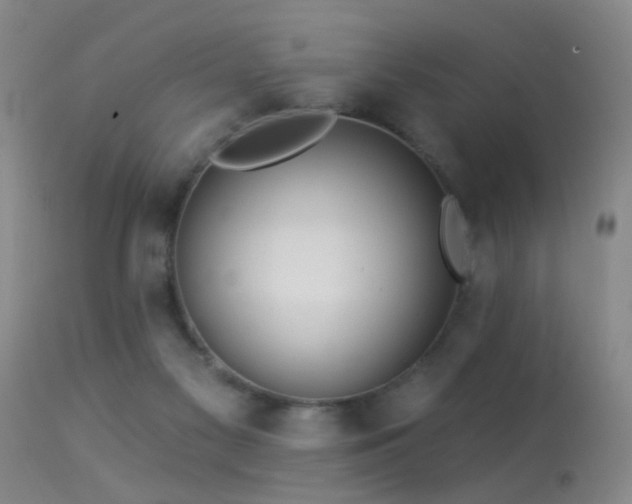 X0000113270117200909171723